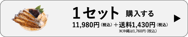 1セット購入する　11,980円（税込）＋送料1,430円（税込）※沖縄は1,760円（税込）