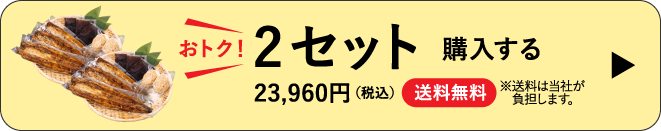 2セット購入する　23,960円（税込）送料無料　おトク！